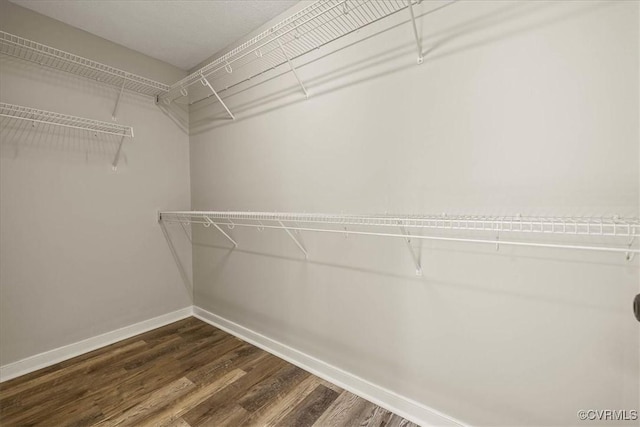 spacious closet with dark wood-type flooring