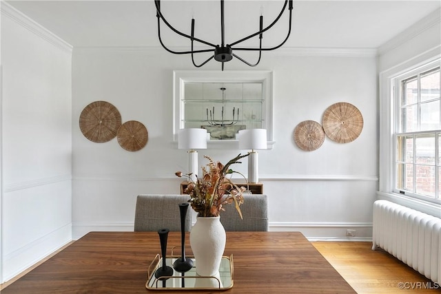 dining room with a wealth of natural light, radiator, wood finished floors, and ornamental molding