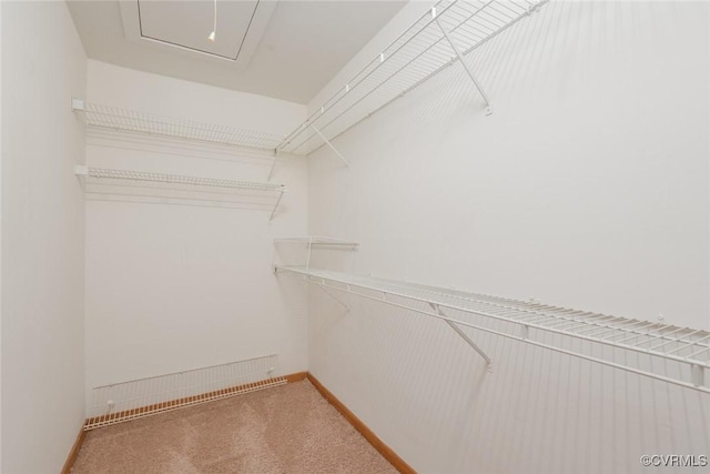 walk in closet featuring visible vents and carpet floors