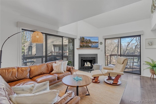 living area featuring hardwood / wood-style floors, plenty of natural light, and a fireplace with flush hearth