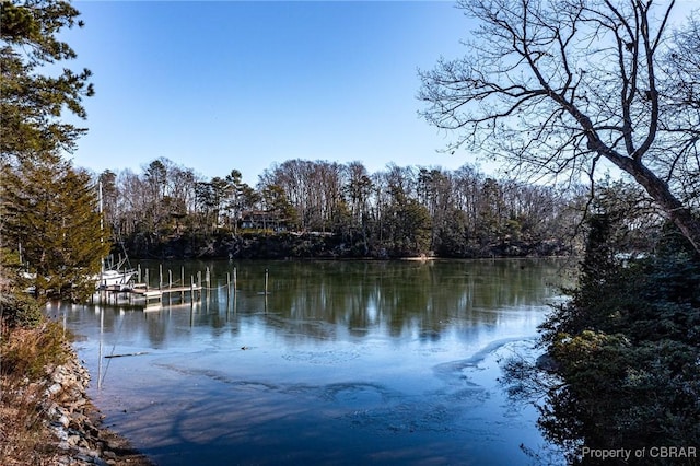 property view of water with a wooded view and a dock