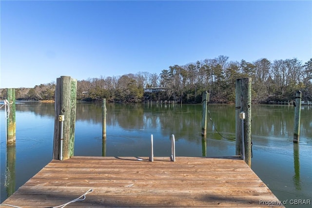 dock area with a water view