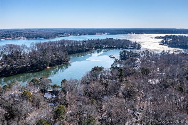 bird's eye view featuring a forest view and a water view