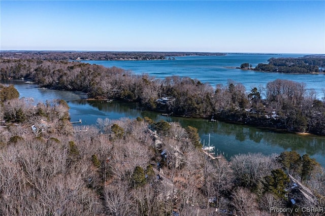 drone / aerial view featuring a water view and a view of trees