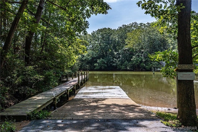 dock area with a water view