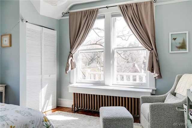 bedroom with a closet, multiple windows, radiator, and wood finished floors