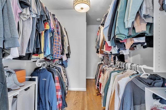 walk in closet with light wood finished floors