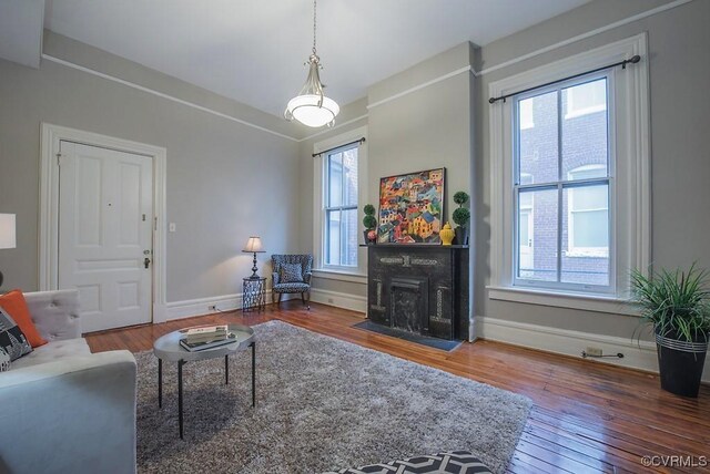 1005 W Franklin St Unit U2, Richmond, VA 23220 - living room featuring wood-type flooring and plenty of natural light