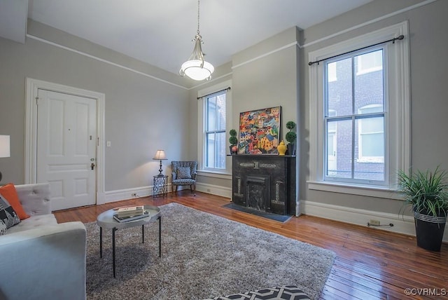 1005 W Franklin St Unit U2, Richmond, VA 23220 - living area featuring plenty of natural light, hardwood / wood-style floors, and a fireplace with flush hearth