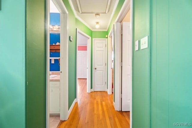 hall featuring crown molding and light wood-type flooring