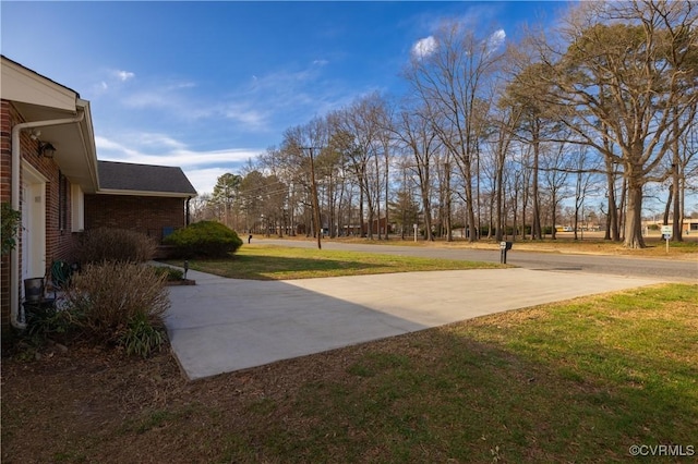 view of yard featuring driveway