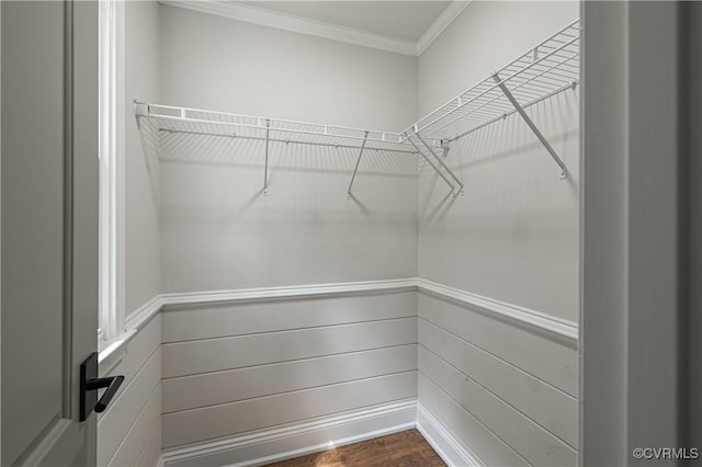 spacious closet featuring dark wood-style floors