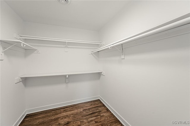 walk in closet with dark wood-style flooring