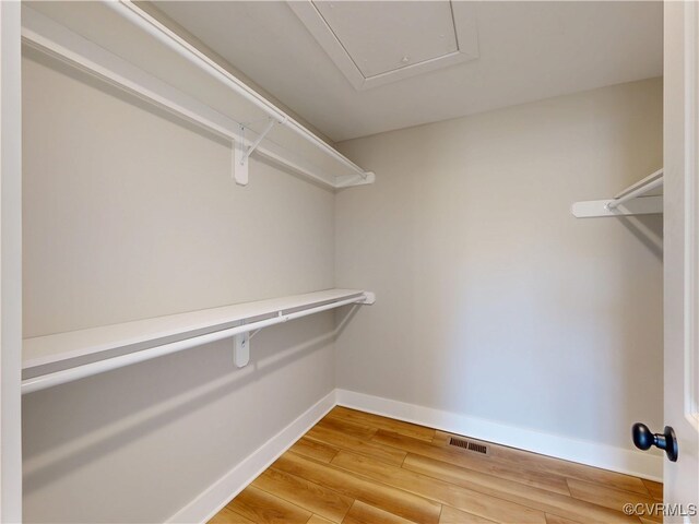 spacious closet featuring visible vents and light wood-style flooring