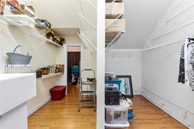 walk in closet with wood finished floors