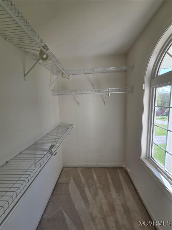 908 Newsome Ct, Goochland, VA 23063 - photo 29