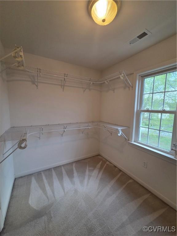 908 Newsome Ct, Goochland, VA 23063 - photo 24