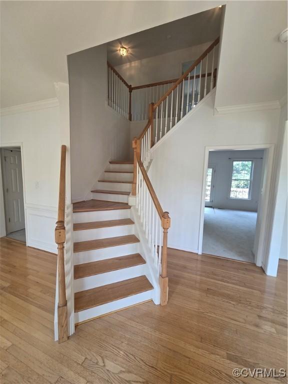 908 Newsome Ct, Goochland, VA 23063 - photo 6