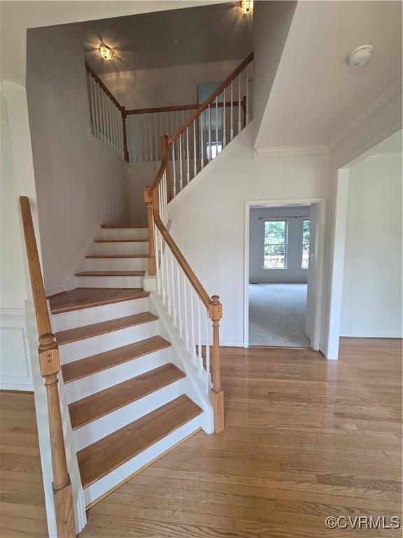 908 Newsome Ct, Goochland, VA 23063 - photo 7