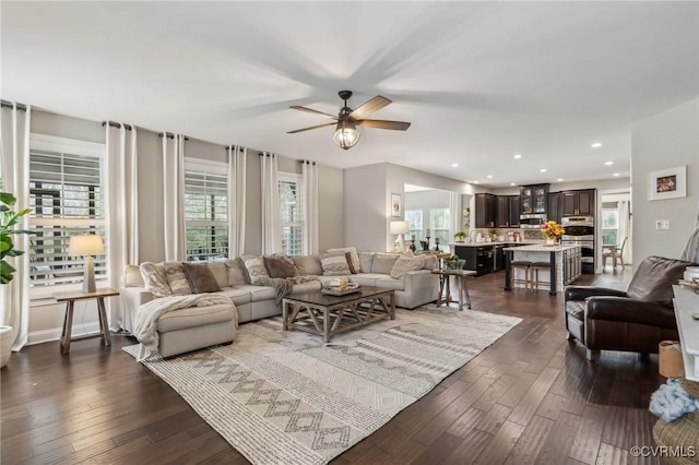 living room featuring a wealth of natural light and dark wood-type flooring