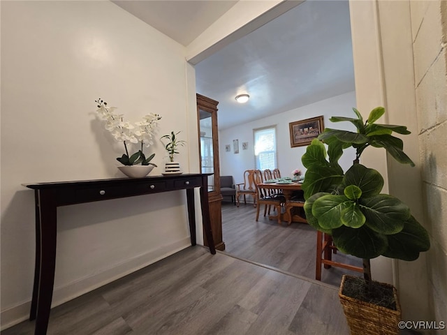 corridor featuring wood finished floors