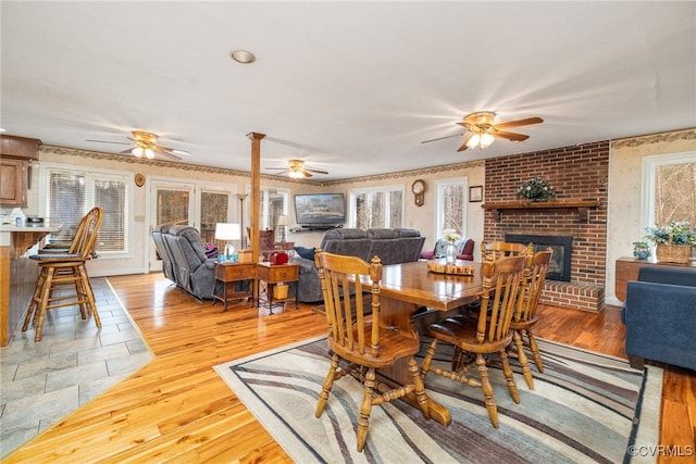 dining area with a fireplace, light wood-type flooring, and ceiling fan