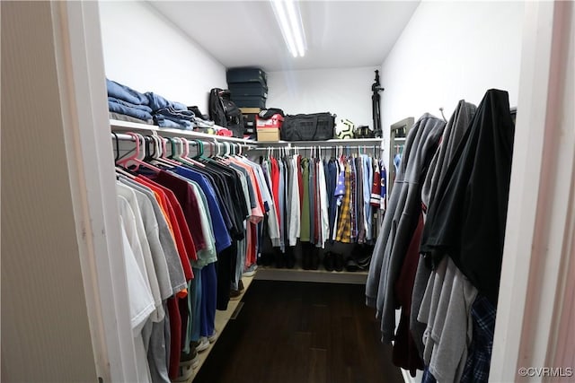 walk in closet with dark wood-style floors