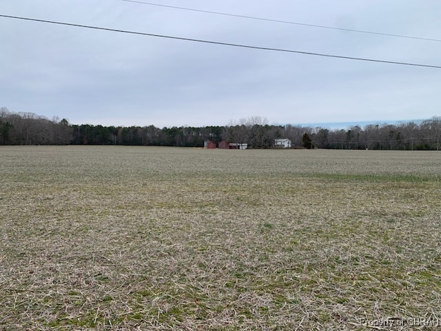 view of yard with a rural view and a forest view