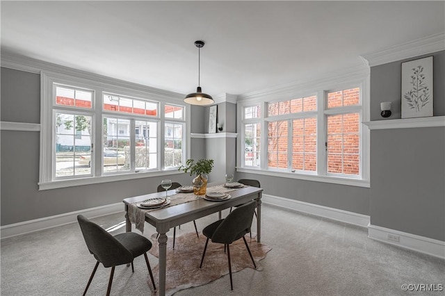 carpeted dining area with crown molding and baseboards