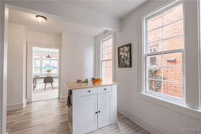 interior space with a healthy amount of sunlight, light wood-type flooring, and baseboards