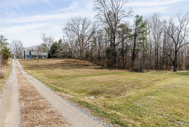 view of road featuring dirt driveway