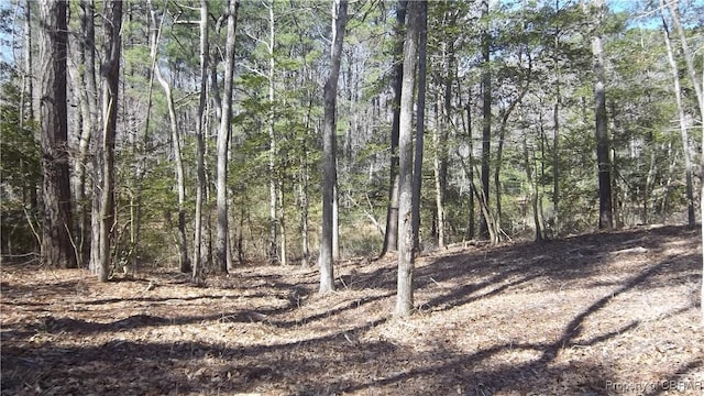 00 Rocky Point Lndg, Cobbs Creek VA, 23035 land for sale