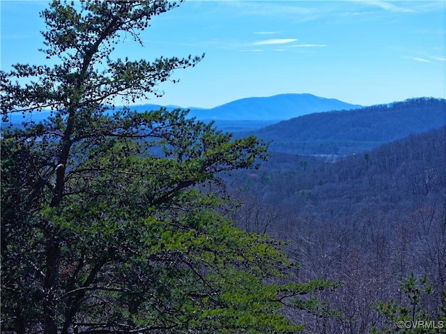 property view of mountains featuring a view of trees