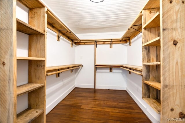 walk in closet featuring dark wood-type flooring