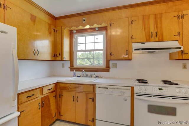 kitchen with white appliances, a sink, light countertops, under cabinet range hood, and crown molding