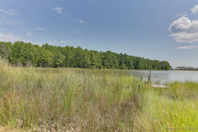 view of landscape with a water view and a wooded view