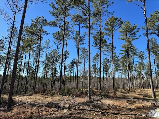 view of local wilderness with a view of trees