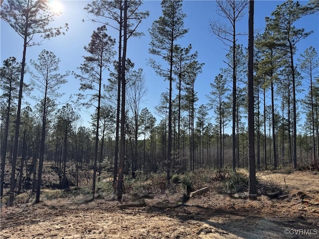 view of local wilderness with a forest view