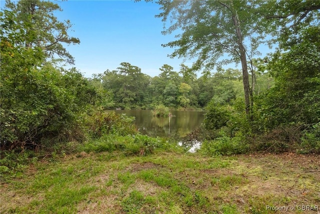 view of nature featuring a water view and a view of trees