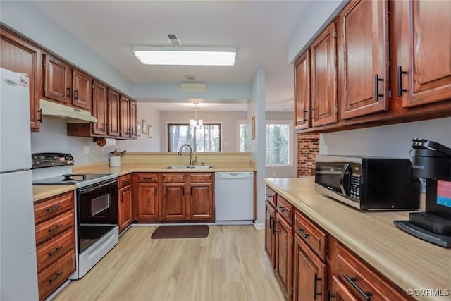 kitchen with under cabinet range hood, white appliances, light countertops, and a sink