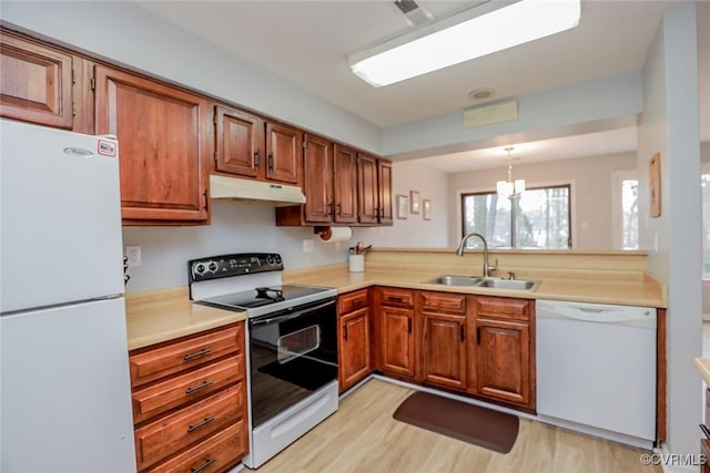 kitchen featuring white appliances, light countertops, under cabinet range hood, and a sink