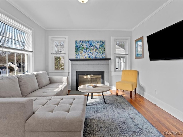 living area featuring baseboards, wood finished floors, ornamental molding, and a fireplace