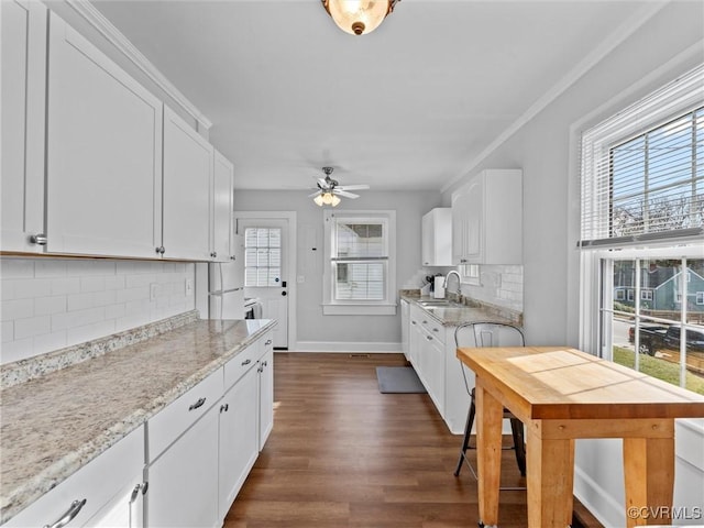 kitchen with a wealth of natural light, white cabinetry, and a sink