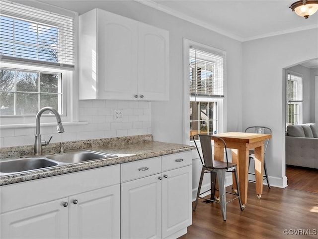 kitchen featuring dark wood finished floors, crown molding, a wealth of natural light, and a sink