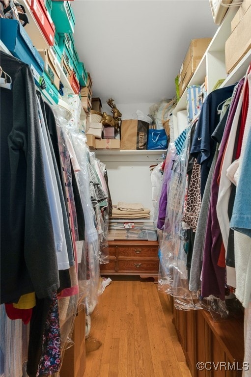 spacious closet with wood-type flooring