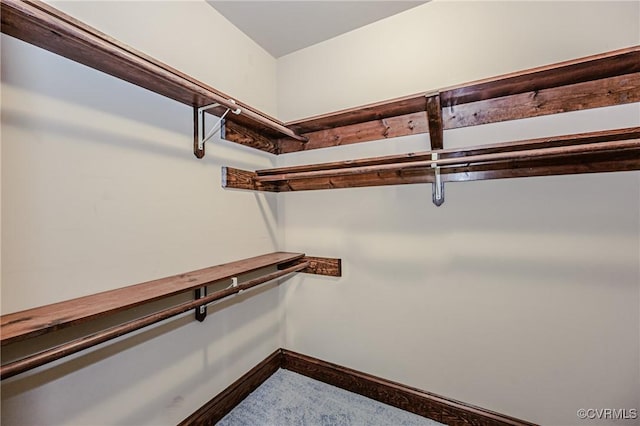 walk in closet featuring carpet floors