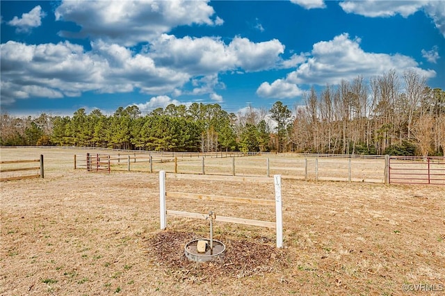 view of yard featuring a rural view, an enclosed area, and fence