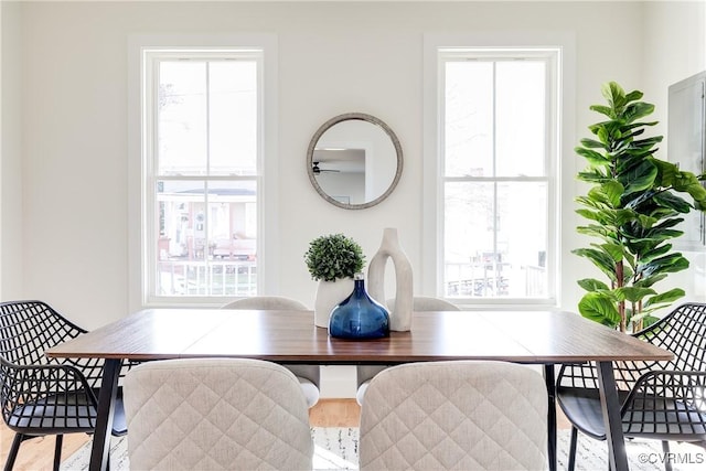 dining area featuring wood finished floors and a healthy amount of sunlight