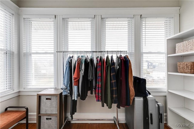 walk in closet with wood finished floors