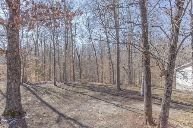 view of yard featuring a forest view